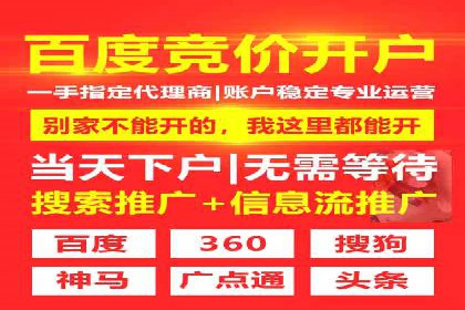 竞价排名的投放策略与效果评估案例